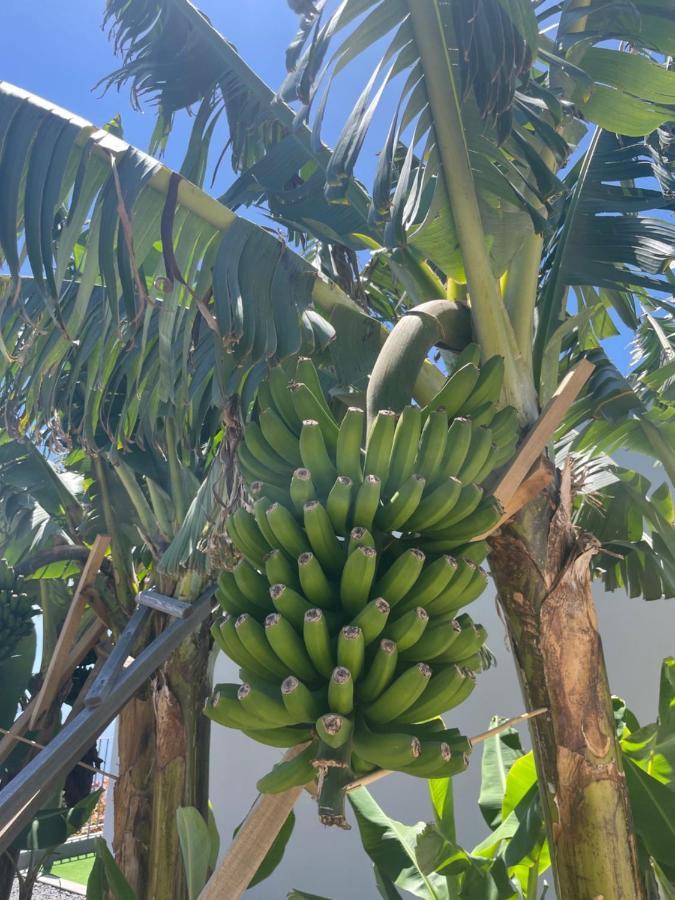 King'S Paradise Estreito Da Calheta المظهر الخارجي الصورة
